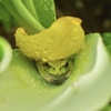 まだそこにいたのか