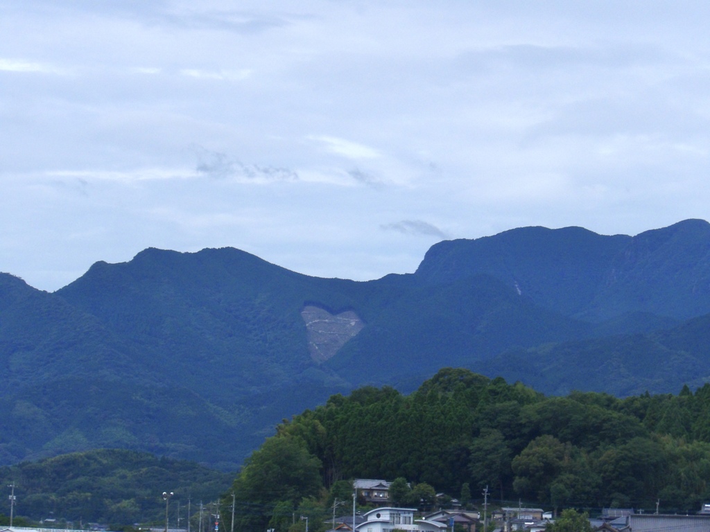 ちょっと気になる