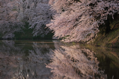 山形の桜5（4月の備忘録）