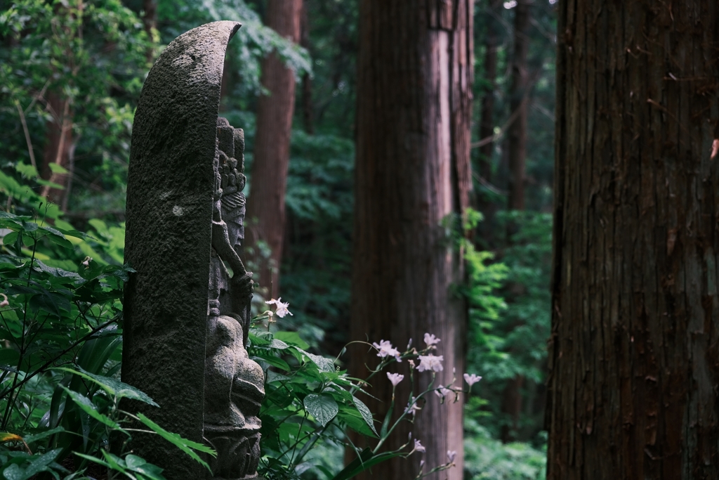 雨の山寺をクラシックネガで歩く3/9