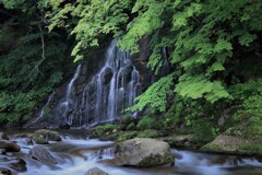 中野もみじ山 2