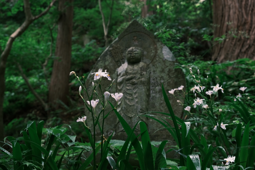 雨の山寺をクラシックネガで歩く5/9