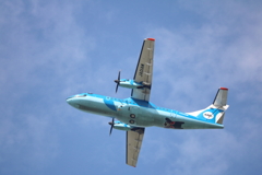 空飛ぶイルカの親子