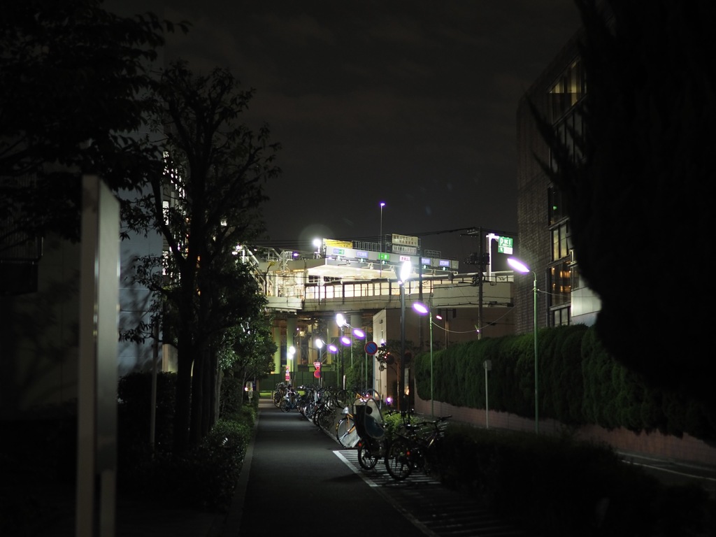 夜散歩
