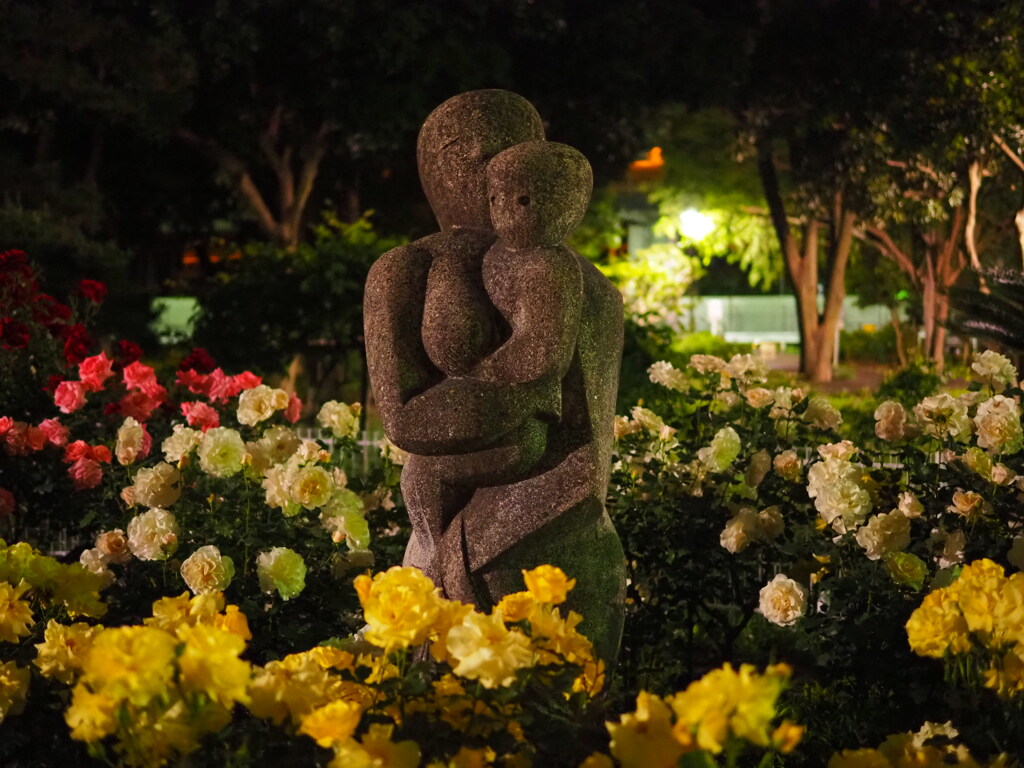 夜散歩　公園