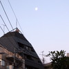 朝散歩　モーニングムーン♪