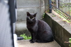 明るくなって来た♪