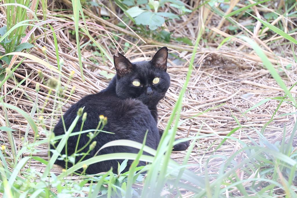 陽の当たる場所で♪