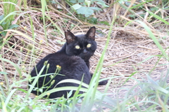 陽の当たる場所で♪