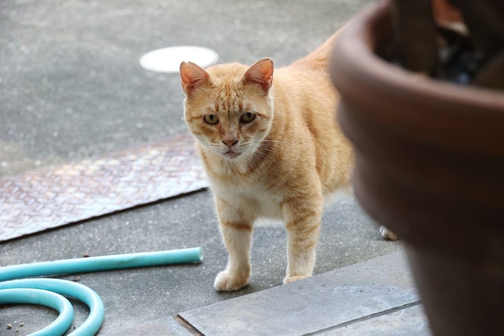 覗き見♪