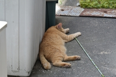 疲れた～