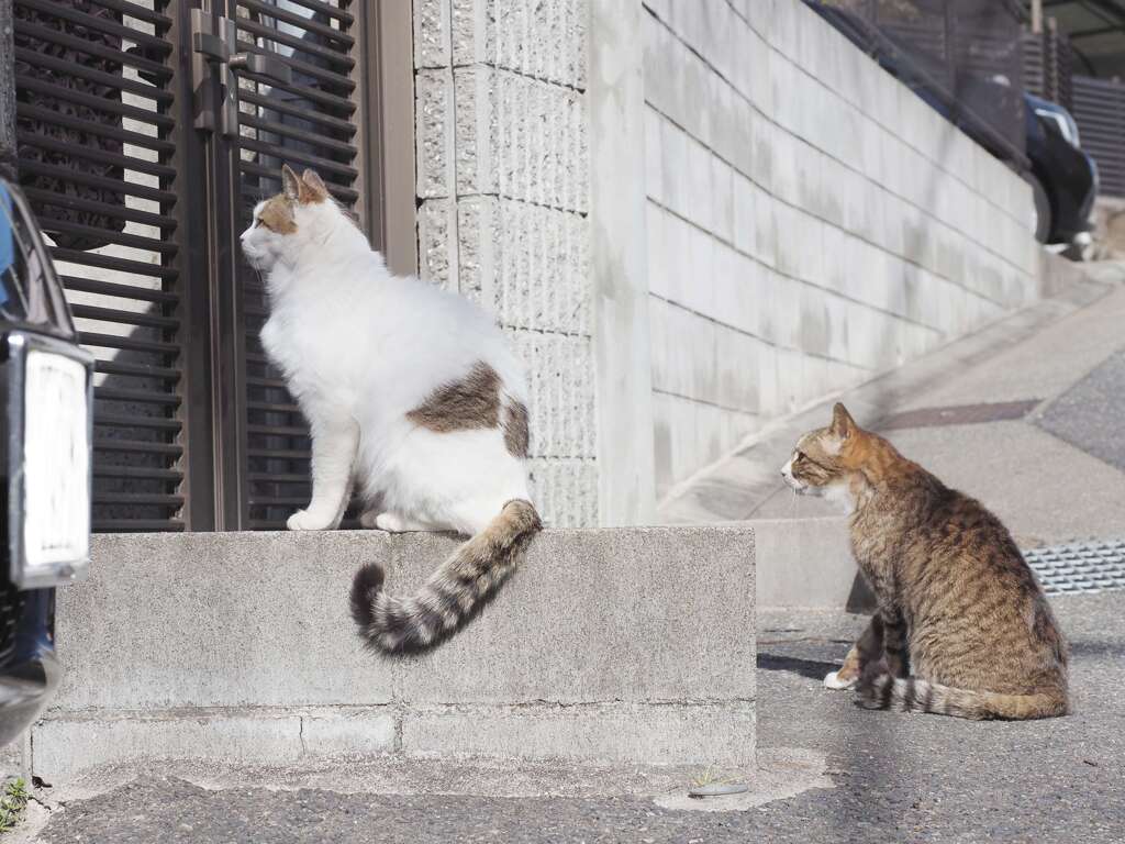 「シンクロしてる」♪