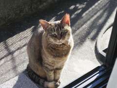 「最強寒波」襲来　♪