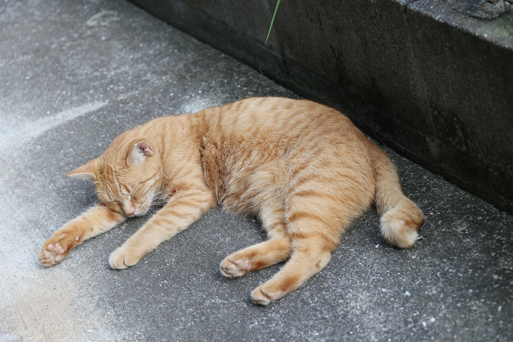 疲れた～♪