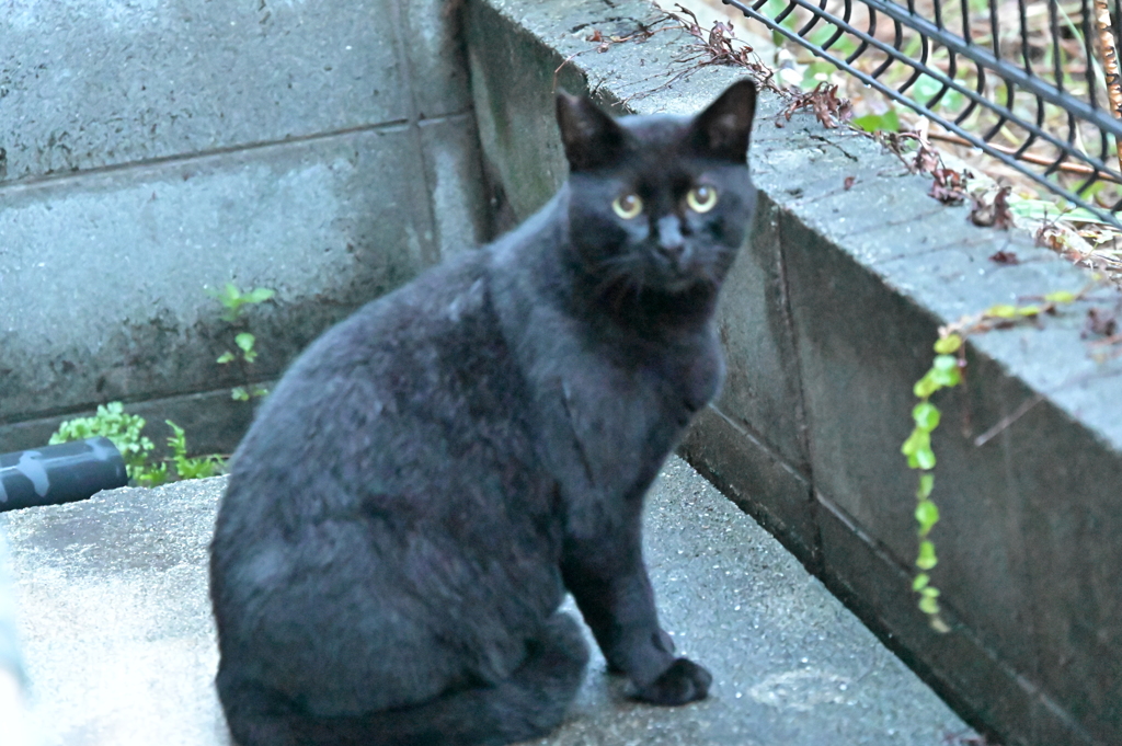 懲りずに来た♪