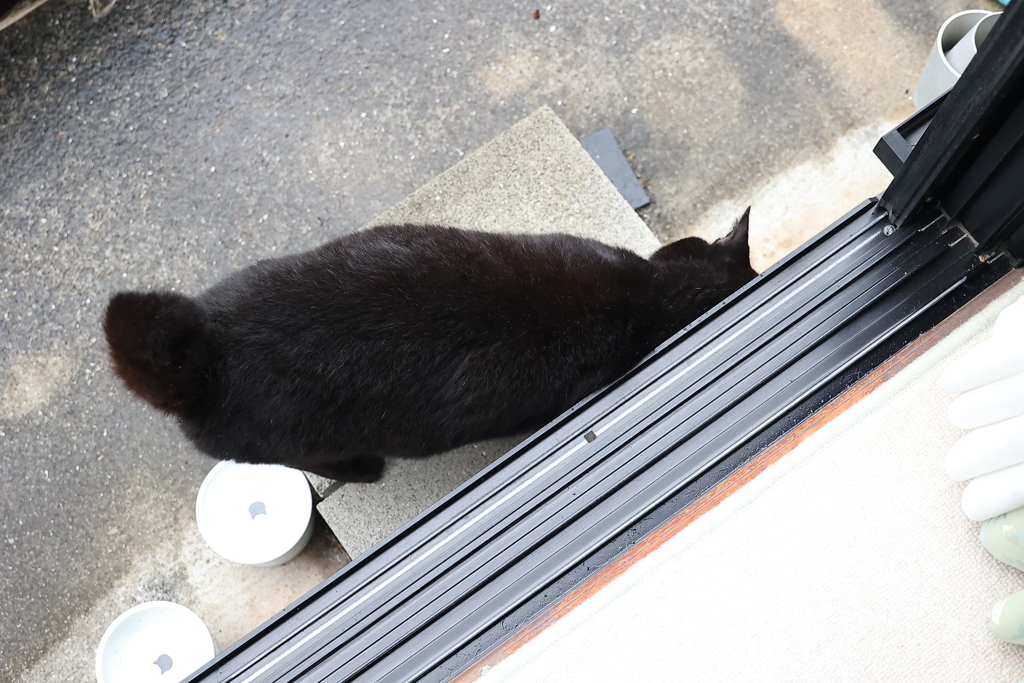 擦りつける♪