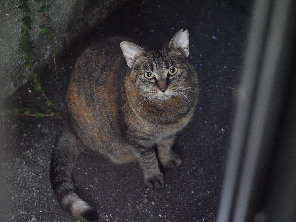 「暗闇のなか」（待ち切れない）♪