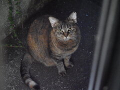 「暗闇のなか」（待ち切れない）♪
