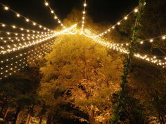 「夜景の季節」(続々編）♪