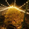 「夜景の季節」(続々編）♪