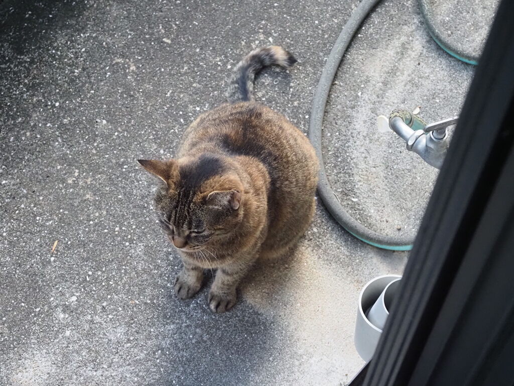 「待っていた」♪