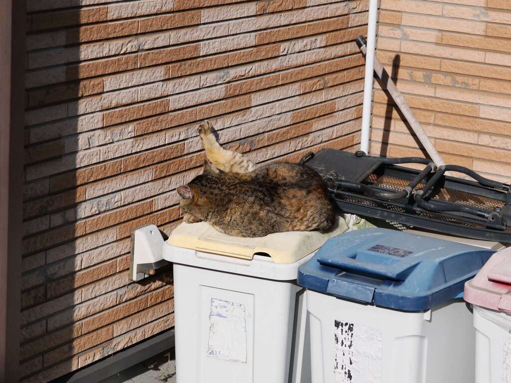 リラックス♪