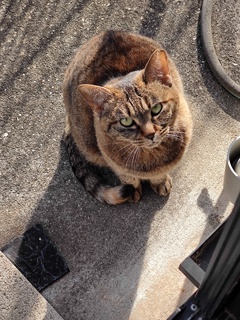 「早めに来た」♪