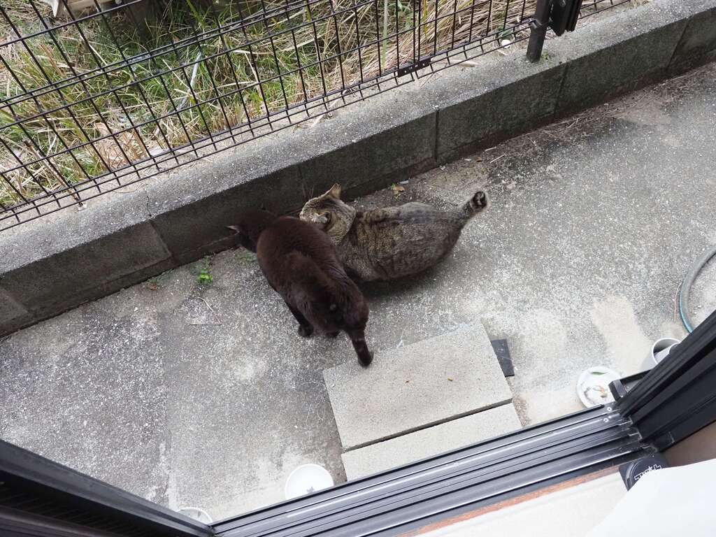 今朝も、元気だ♪