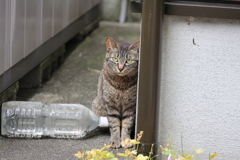 久しぶりだね♪