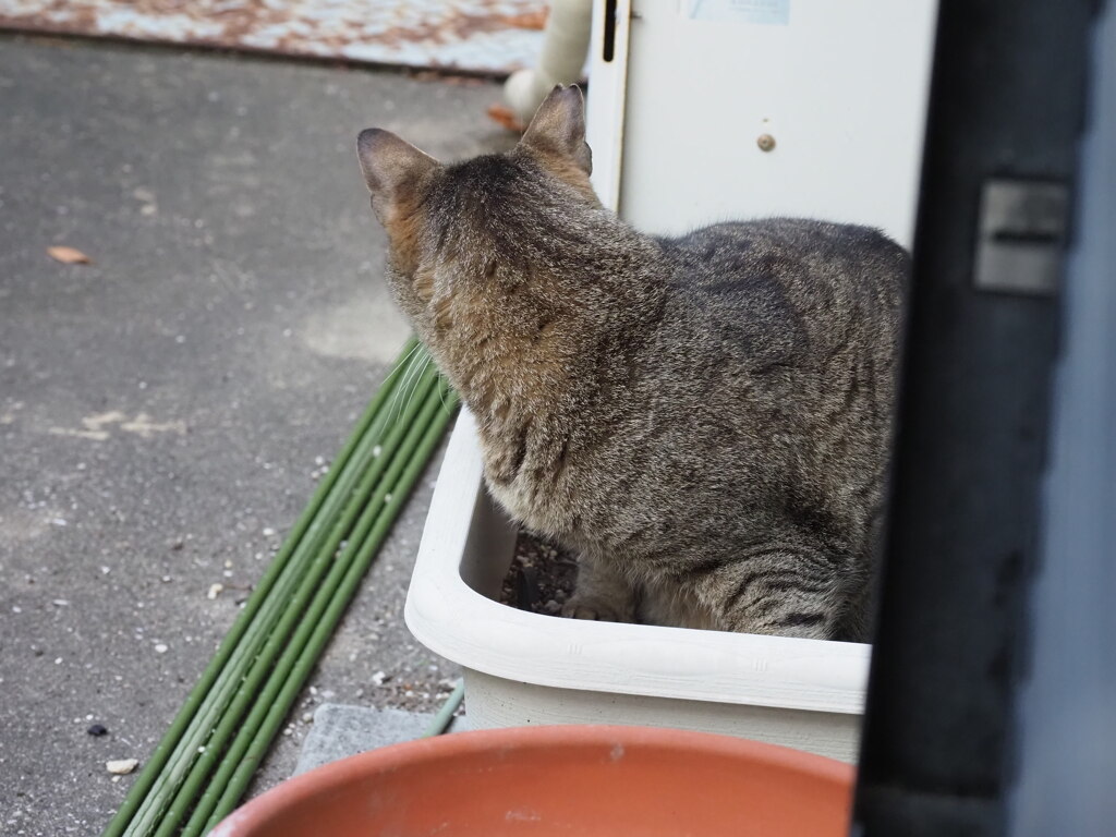 何か発見♪