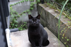 爆笑（変顔）♪