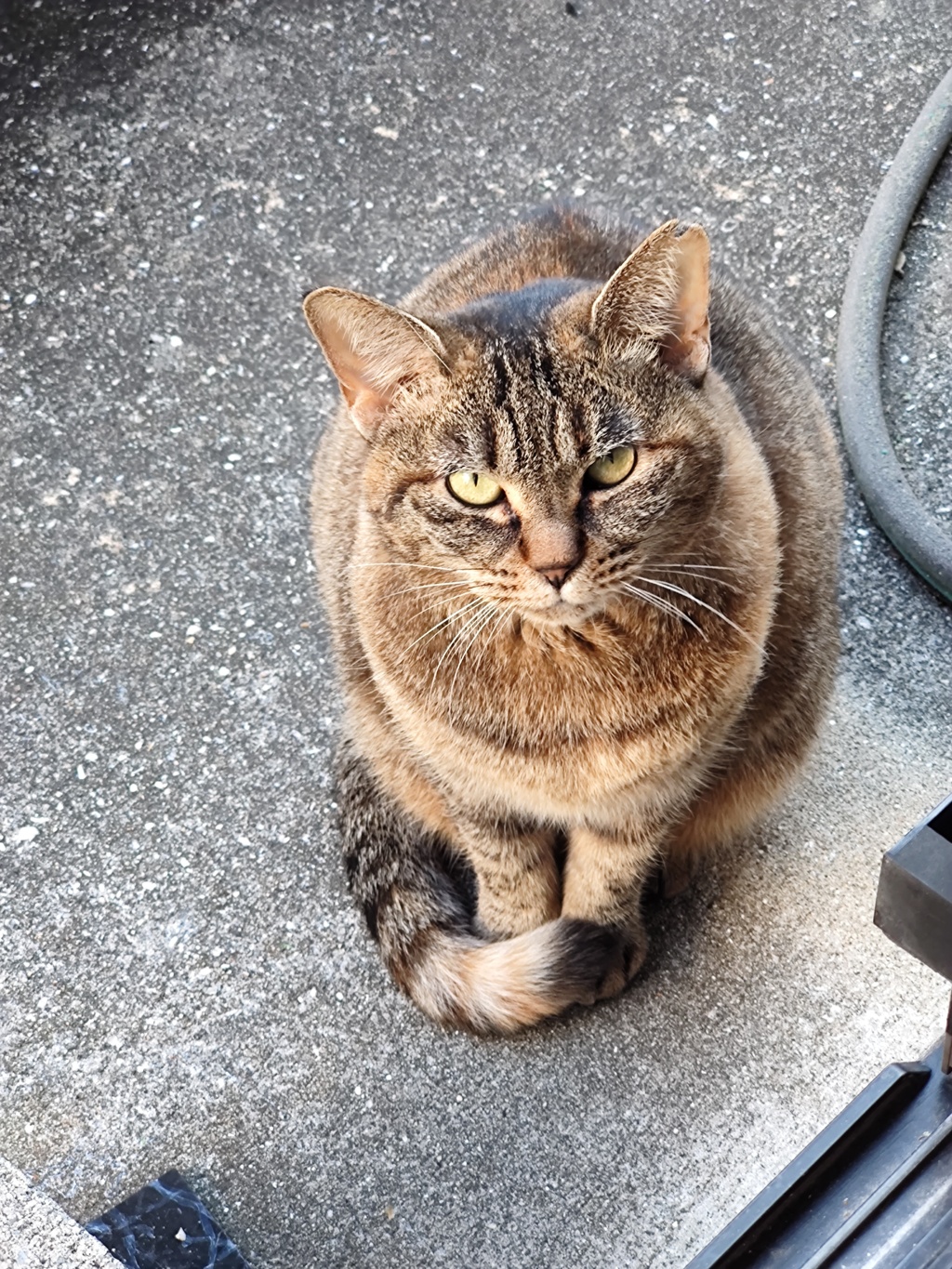 「ちゃんと待ってる」♪