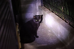 招からざる者♪