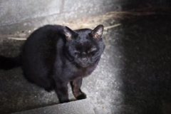 眠い♪