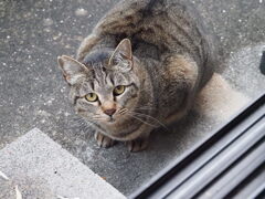 雨上がり♪