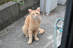 今日も来た♪