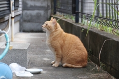 餌待ち～♪