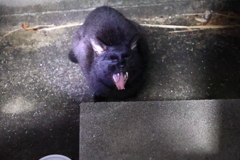今日は、成功♪