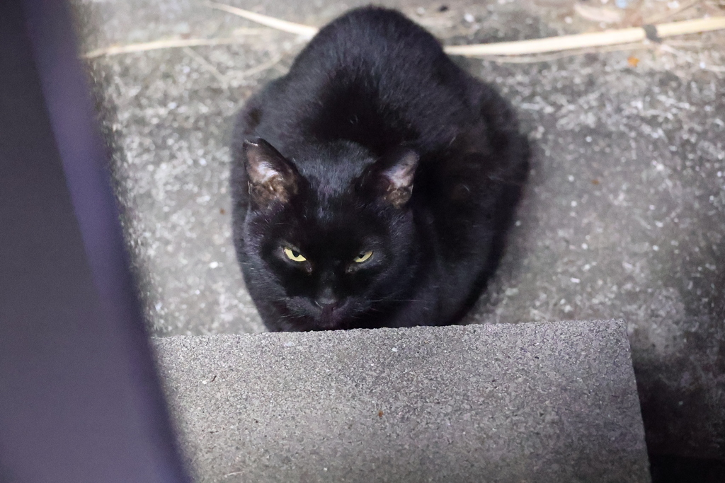 餌待ち♪