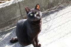 美味しかったかい♪