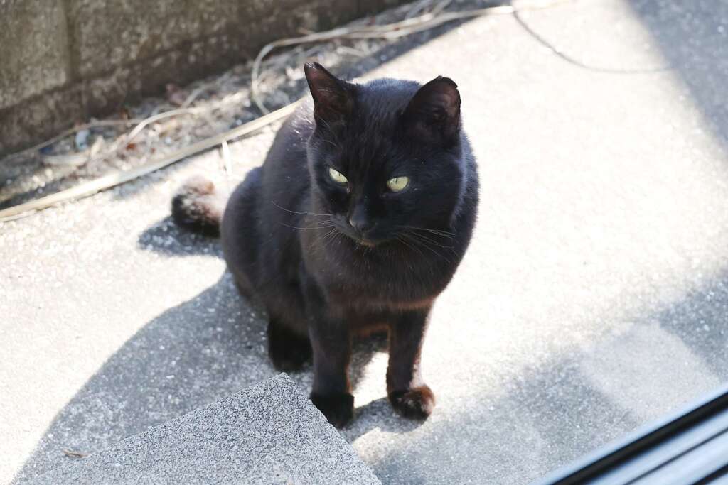 日向ぼっこ♪