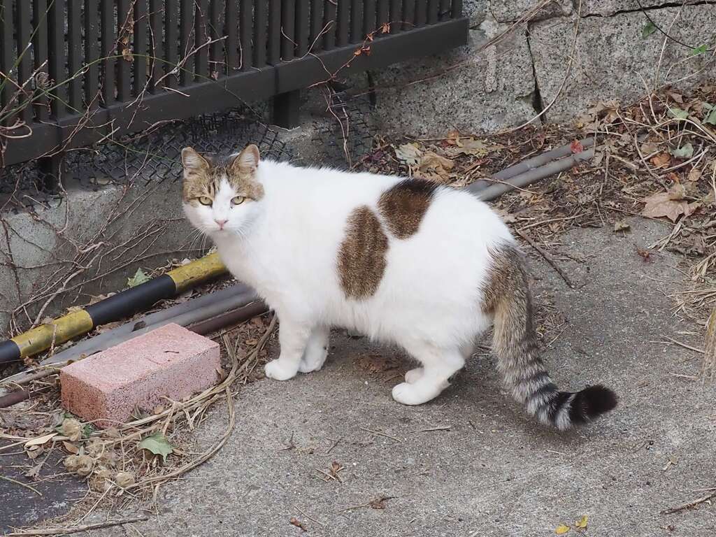 「何かを見つけた？」♪