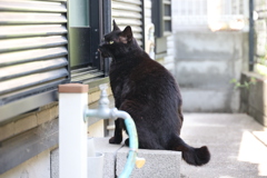餌まだ～♪