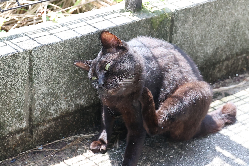 間抜け顔♪