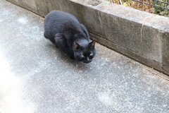 水を飲んでいた（大寒波）♪