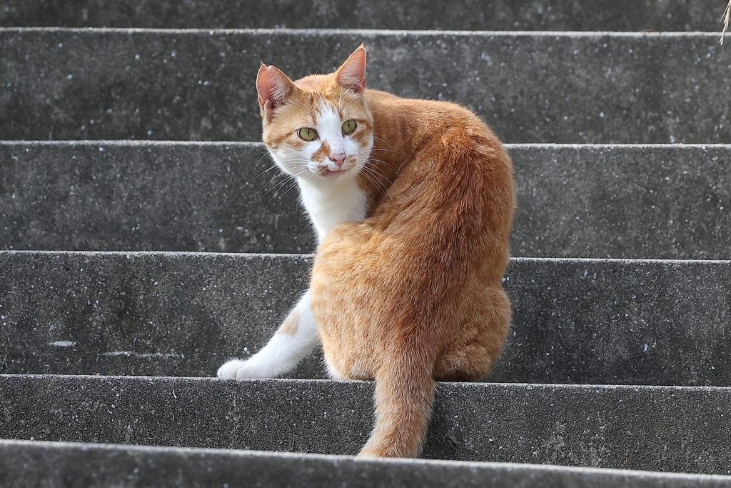 ！?