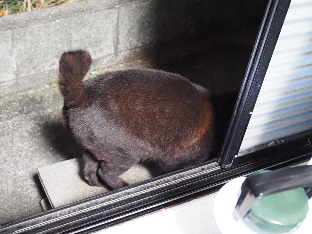 雨の日も風の日も（続編）♪