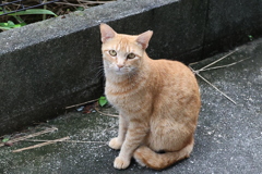 奇跡♪