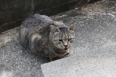 また来ました♪