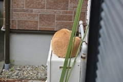 最初の移動♪